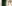 Troldtekt akustiktak i privatbostäder